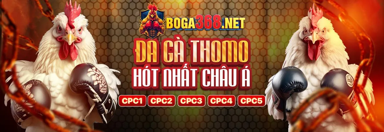 Khuyến mãi cá cược thể thao